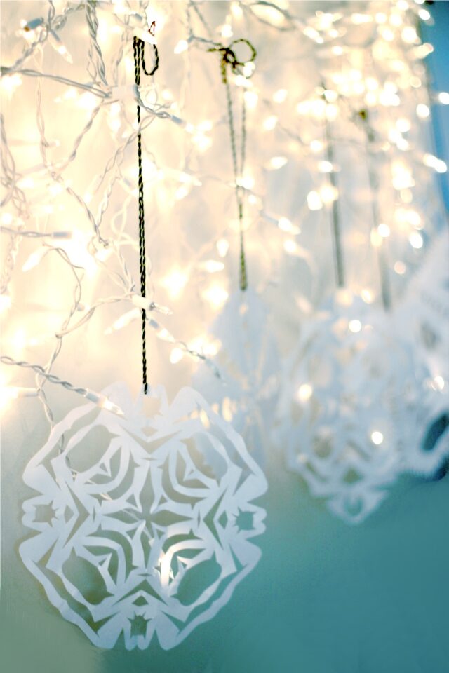 2snowflakesandlights-8527847