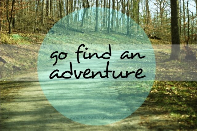 d-go-find-an-adventure-2234051
