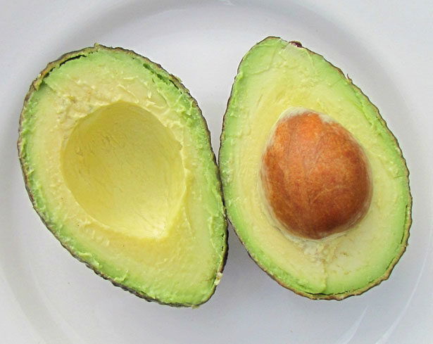 avocado-in-season-march-9901374