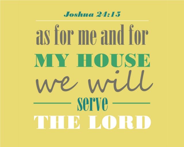 josh24yellow-3665976