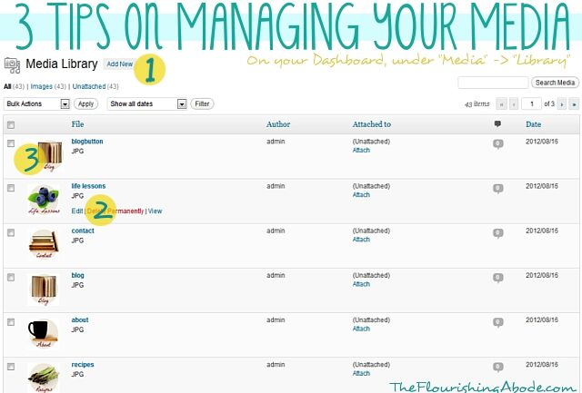 3 tips on managing your media in WordPress 3-tips-on-managing-your-media-in-wordpress-1013356