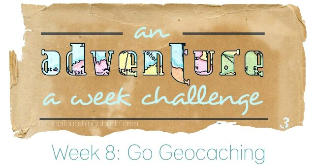 adventureaweek8 adventureaweek8-7674242