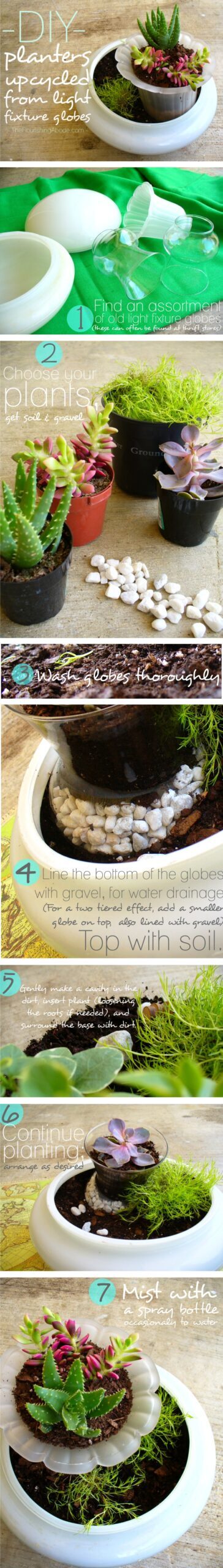 diyplantersgraphic diyplantersgraphic-8849833